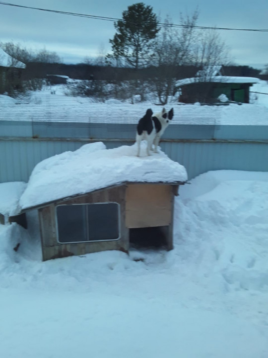 IMG-20220301-WA0008.jpg