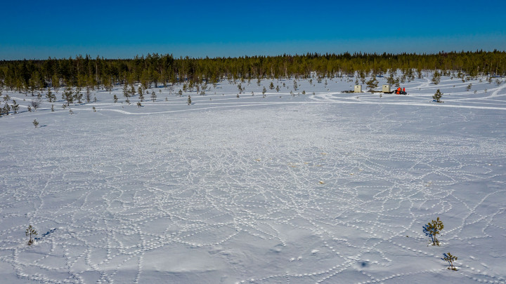 DJI_0933.jpg