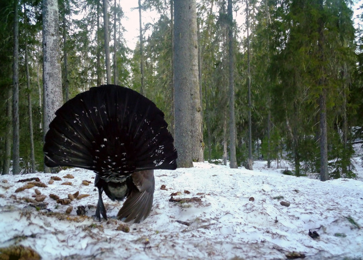 IMAG0117.jpg
