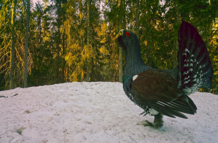 IMAG0143.jpg