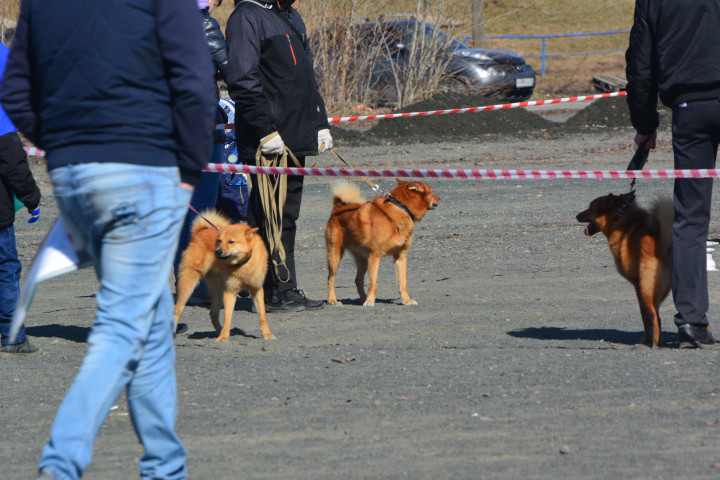 DSC_0008.JPG