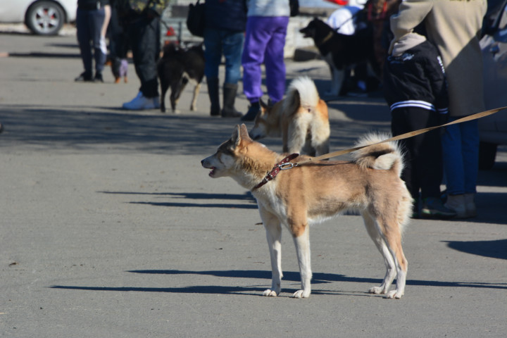 DSC_0009.JPG