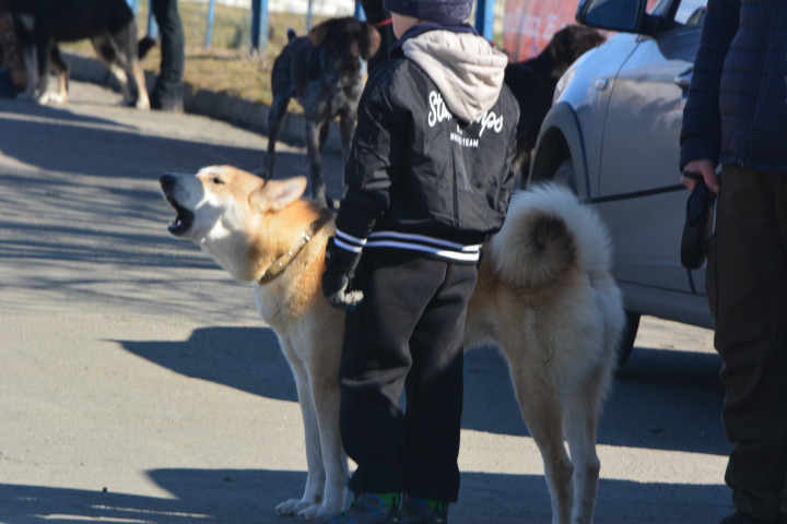 DSC_0011.JPG