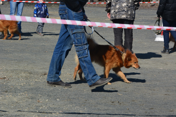 DSC_0013.JPG