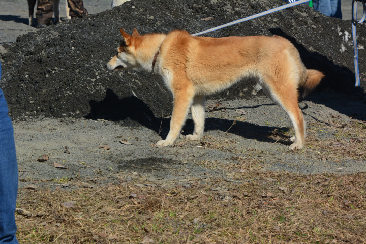 DSC_0015.JPG