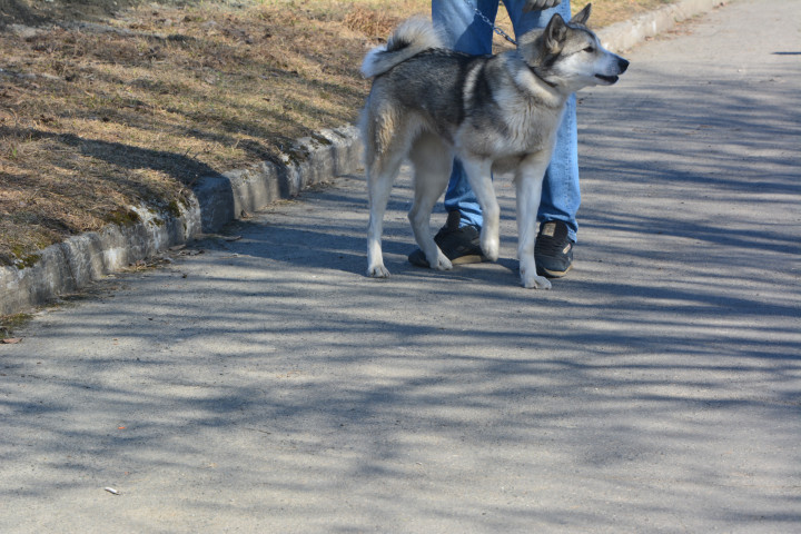 DSC_0016.JPG