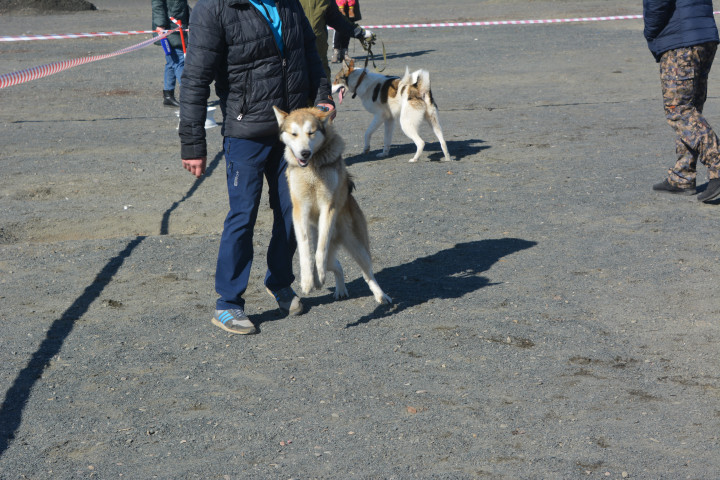 DSC_0021.JPG