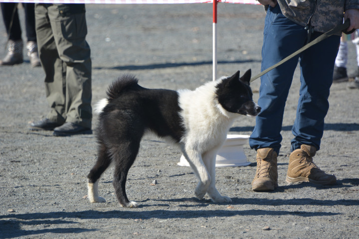 DSC_0027.JPG