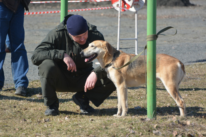 DSC_0036.JPG