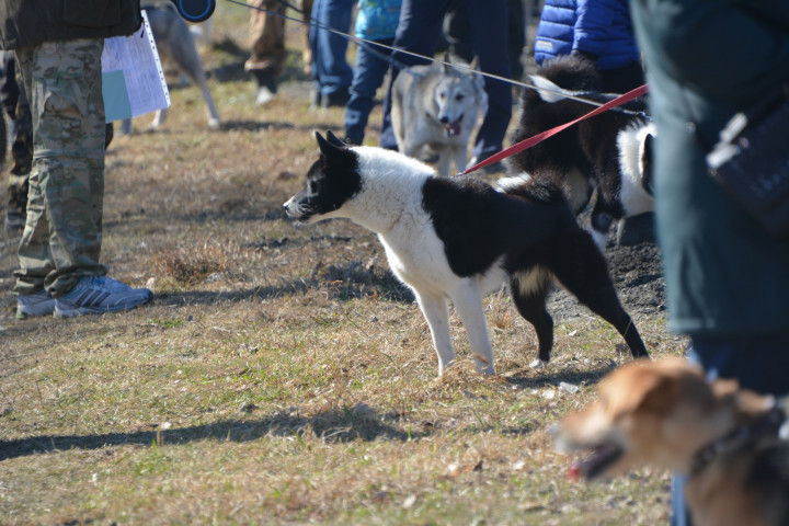 DSC_0037.JPG