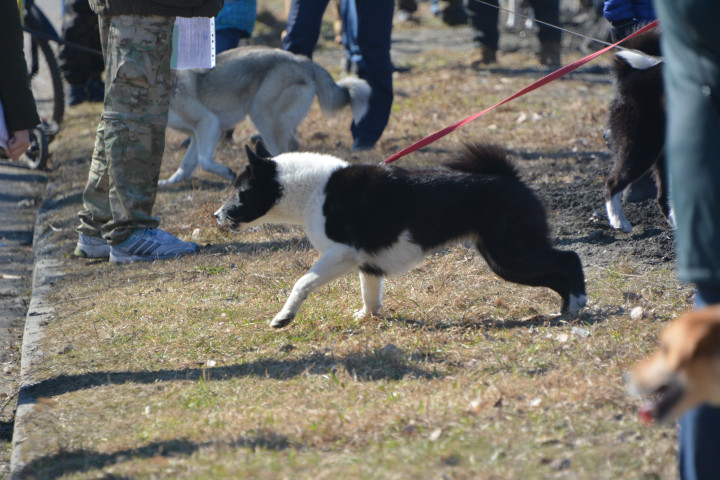 DSC_0038.JPG