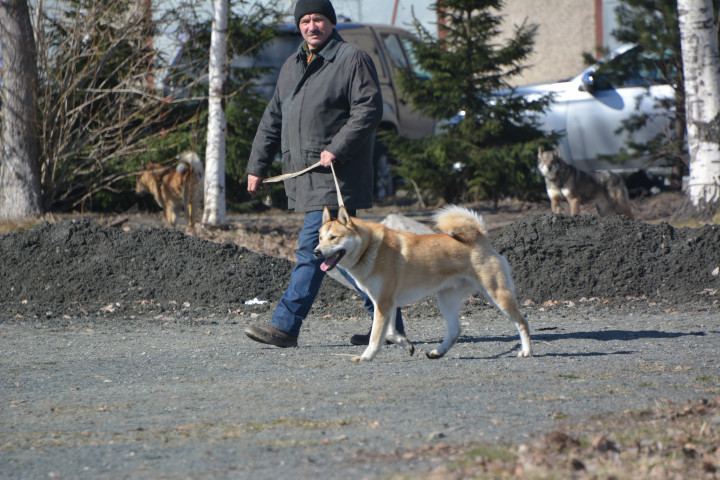 DSC_0039.JPG