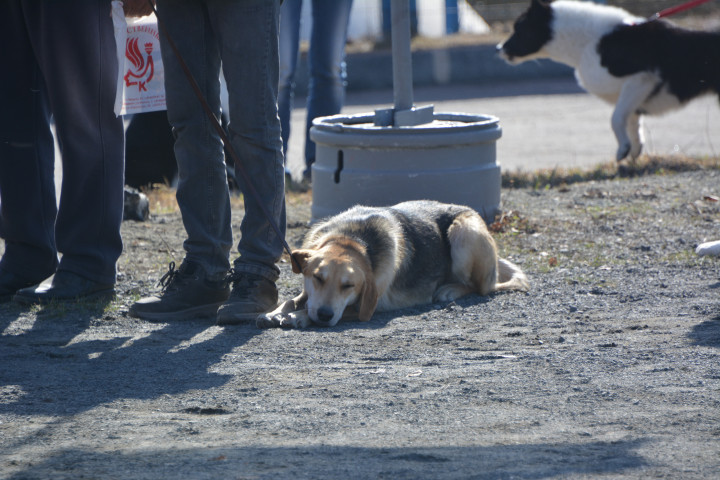 DSC_0043.JPG