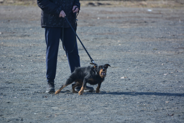 DSC_0044.JPG