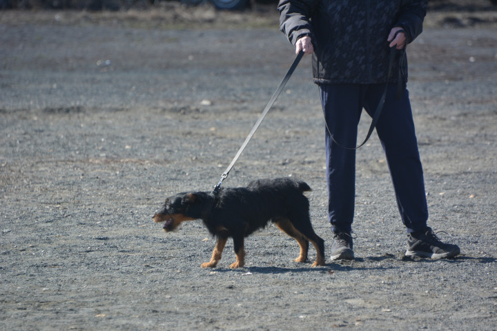 DSC_0047.JPG