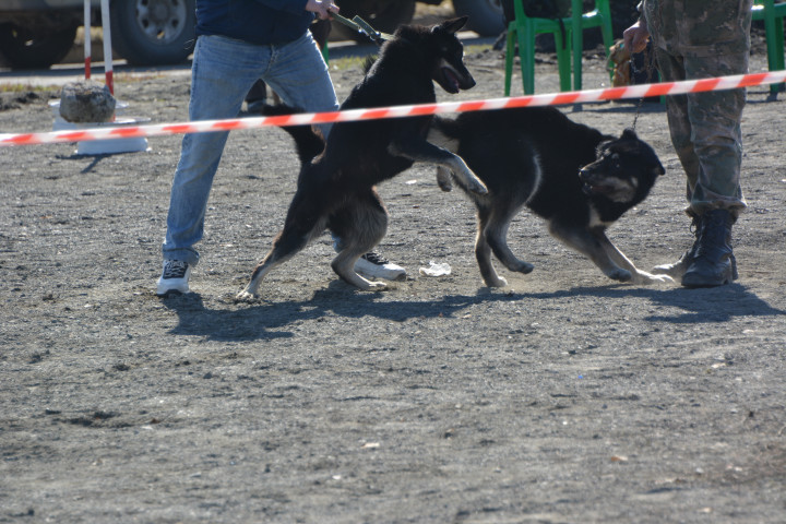 DSC_0058.JPG