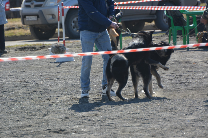 DSC_0059.JPG