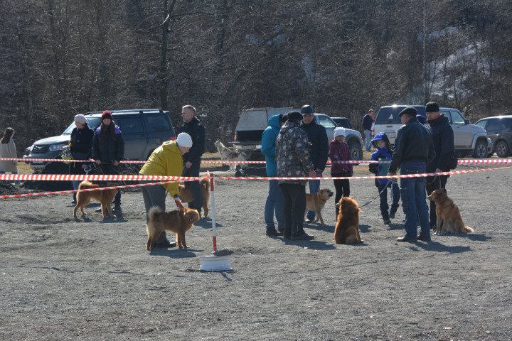 DSC_0062.JPG