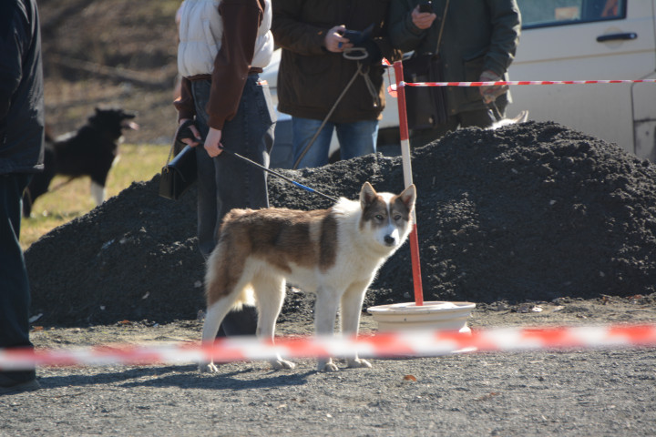 DSC_0063.JPG