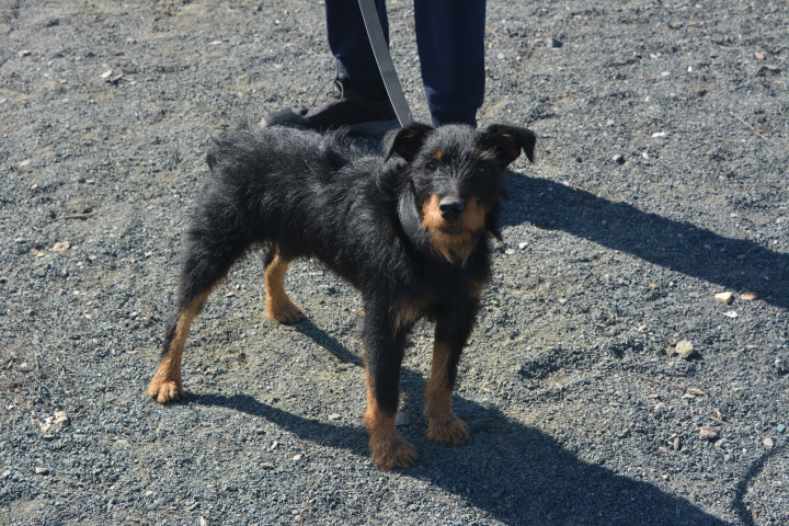 DSC_0068.JPG
