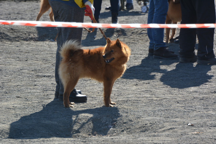 DSC_0071.JPG