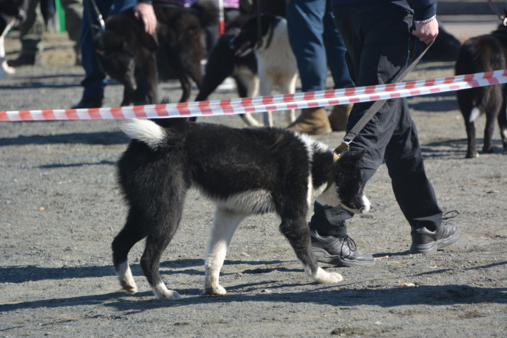 DSC_0076.JPG