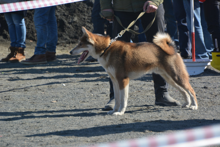 DSC_0079.JPG