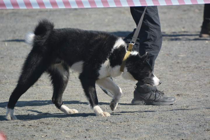 DSC_0081.JPG