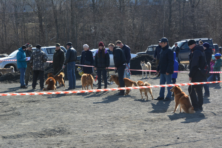 DSC_0082.JPG