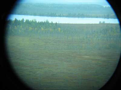 если увеличить, то и фотиком можно поймать птичек в 700 метрах...