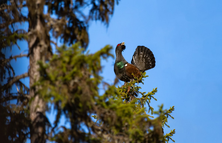 M25A1243-Улучшено-NR.jpg (215.34 КБ) 22089 просмотров M25A1243-Улучшено-NR.jpg