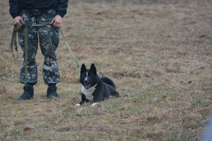 DSC_0013.JPG