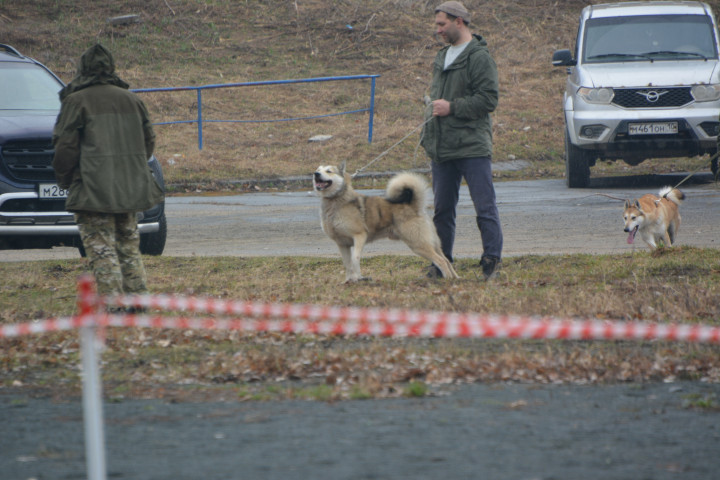 DSC_0029.JPG