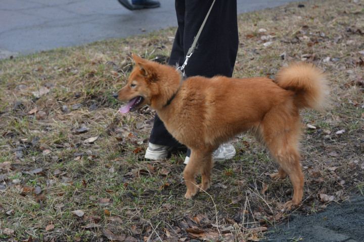 DSC_0030.JPG