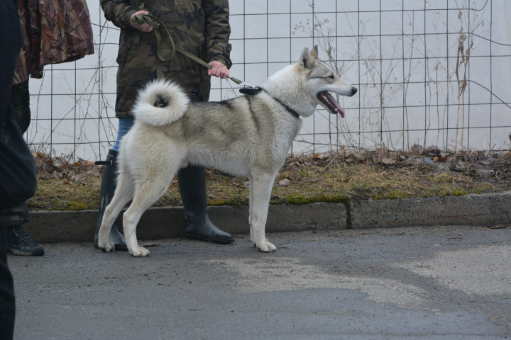 DSC_0033.JPG