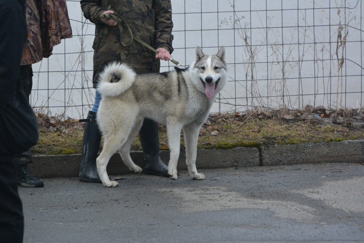 DSC_0034.JPG