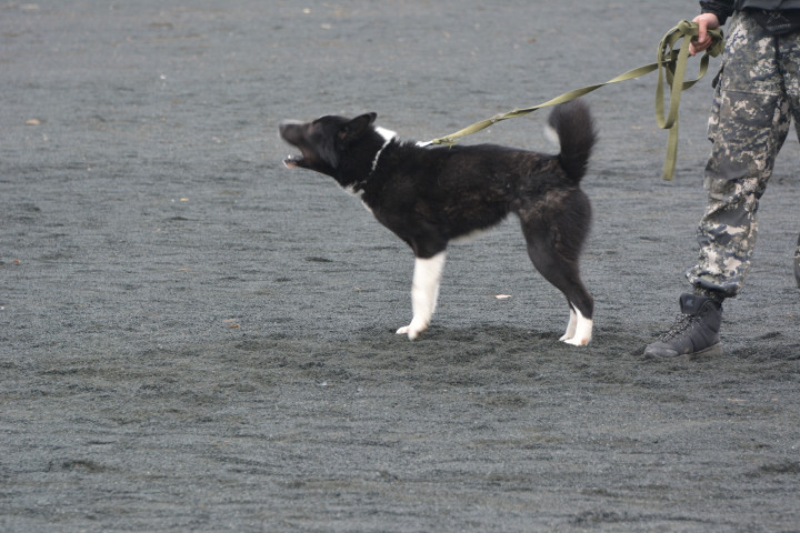 DSC_0035.JPG