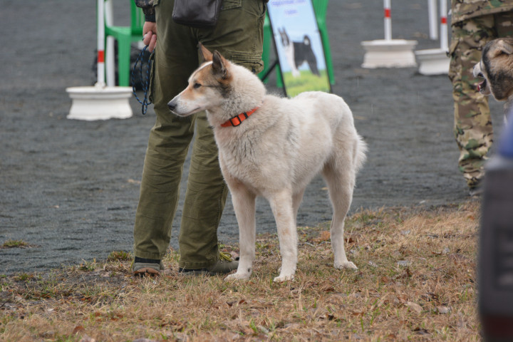 DSC_0037.JPG