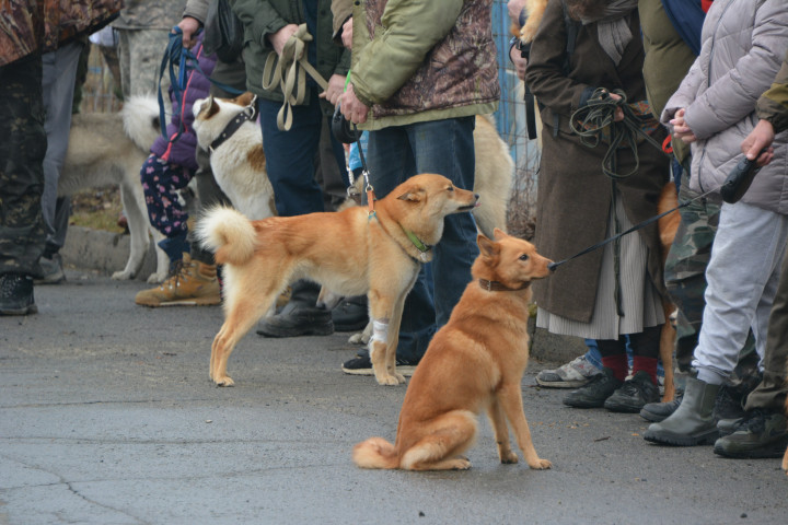 DSC_0044.JPG