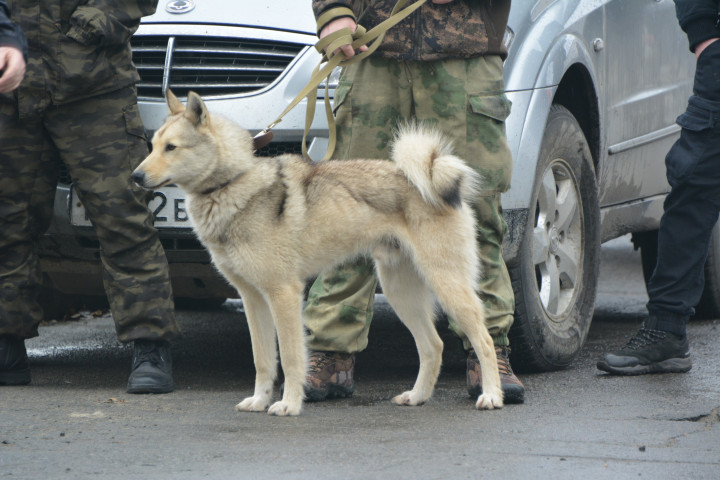 DSC_0054.JPG