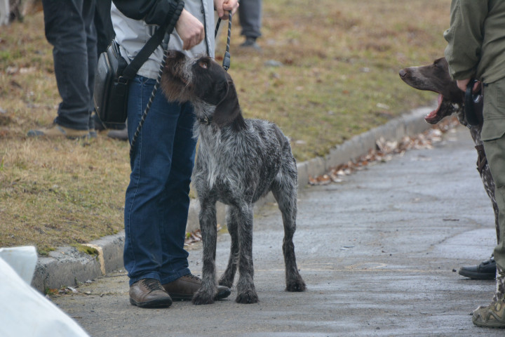 DSC_0062.JPG