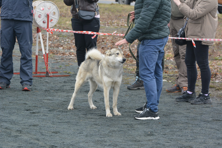 DSC_0063.JPG