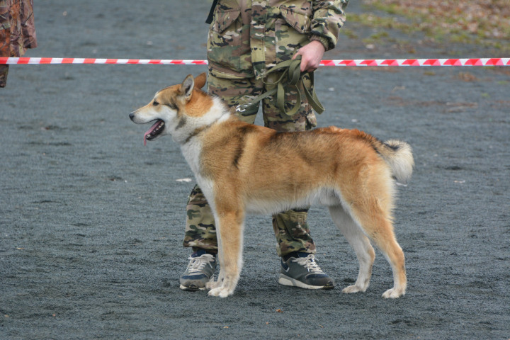 DSC_0064.JPG