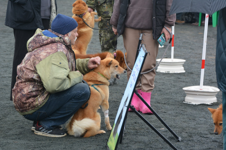 DSC_0068.JPG