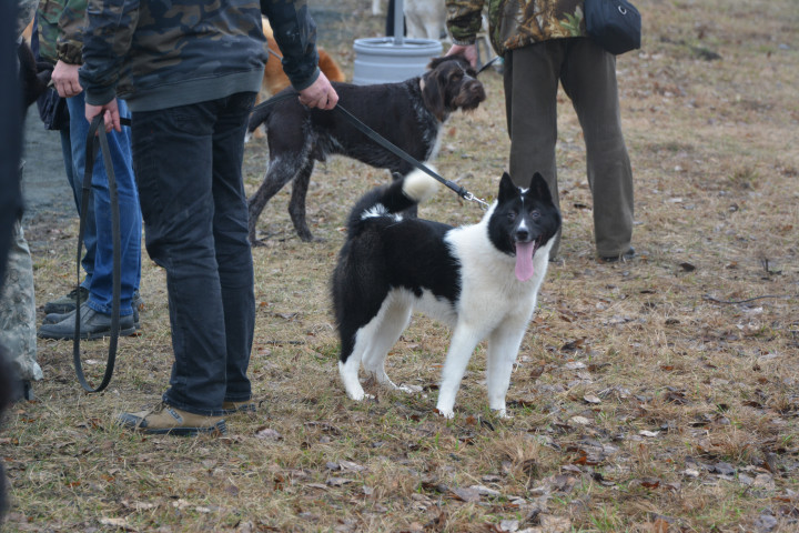 DSC_0072.JPG