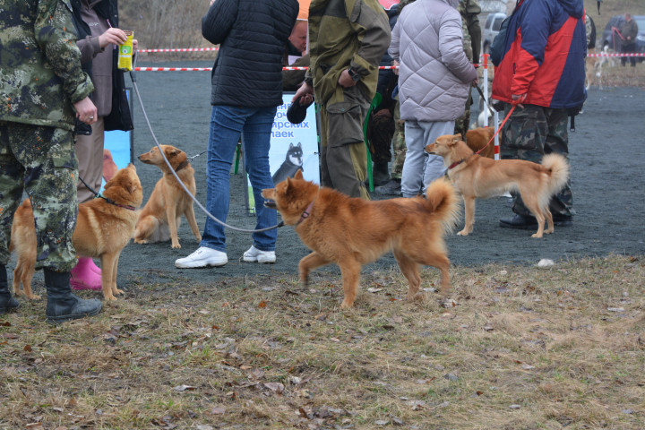 DSC_0073.JPG