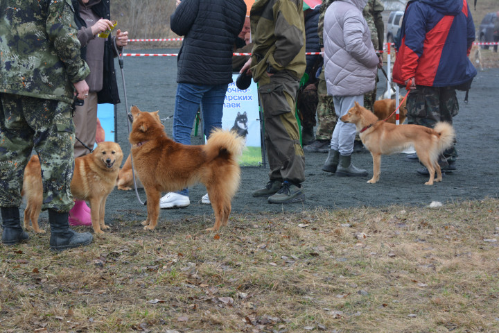 DSC_0074.JPG