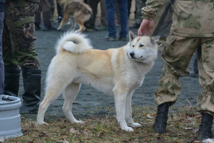 DSC_0075.JPG