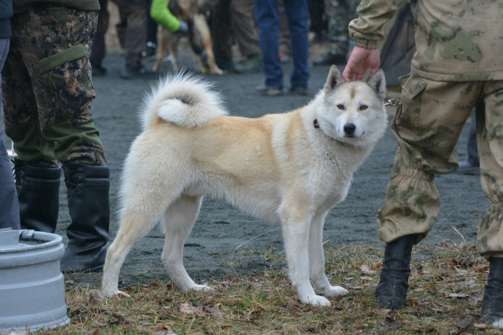 DSC_0076.JPG