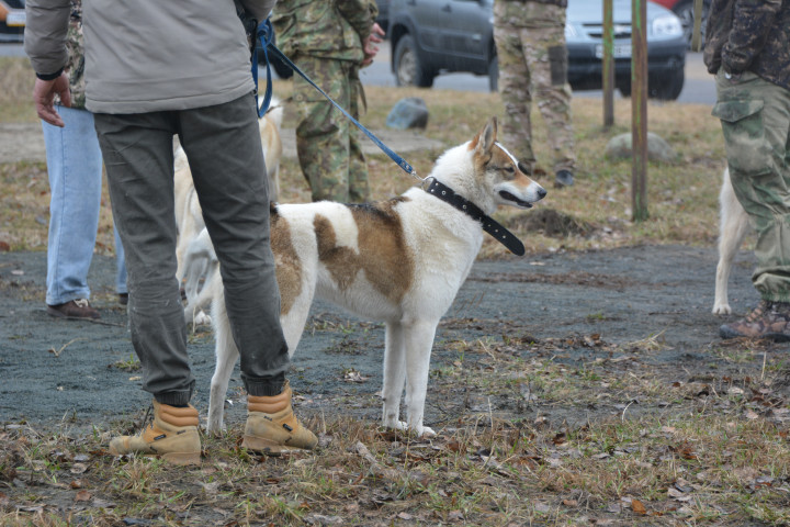 DSC_0078.JPG